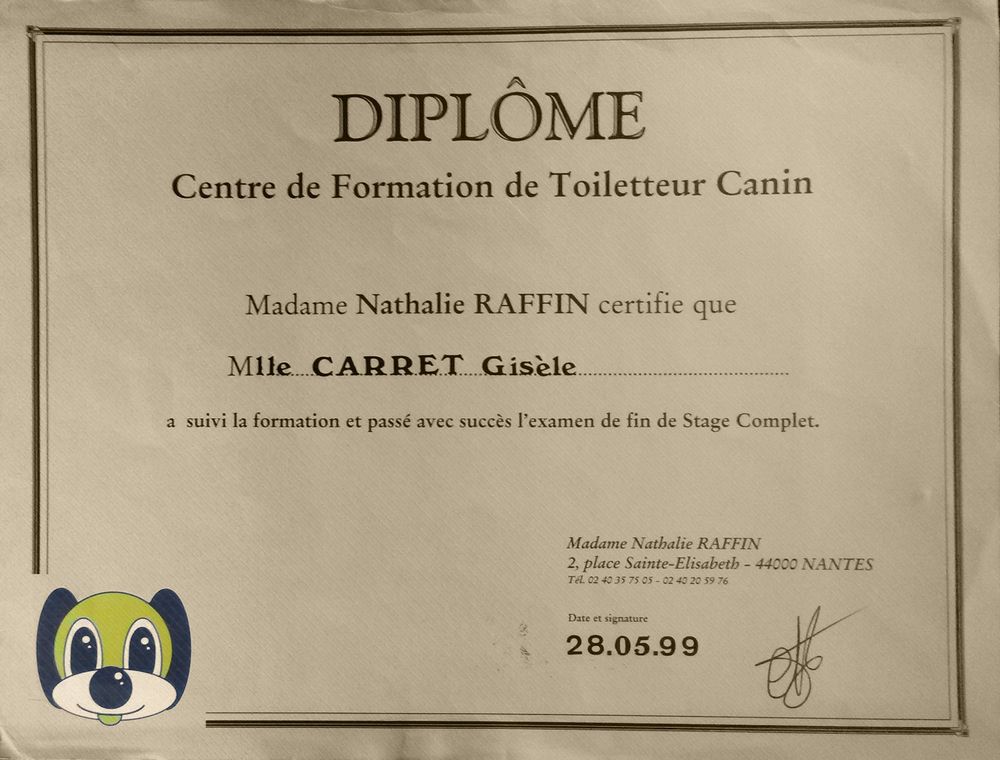 diplome toilettage canin